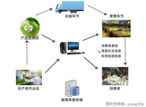 農業物聯網的功能及應用 開啟智能農業管理新時代