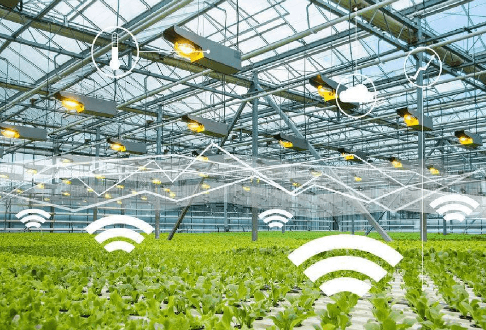 物聯網時代下，物聯卡在智慧農業中的應用場景與特性解析
